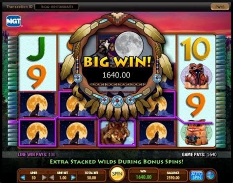 wild wolf slot machine big win